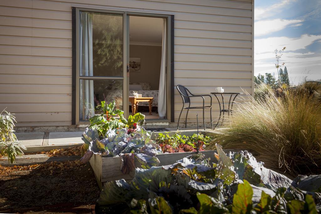 Trout 'N' Trail B&B Ranfurly Kamer foto