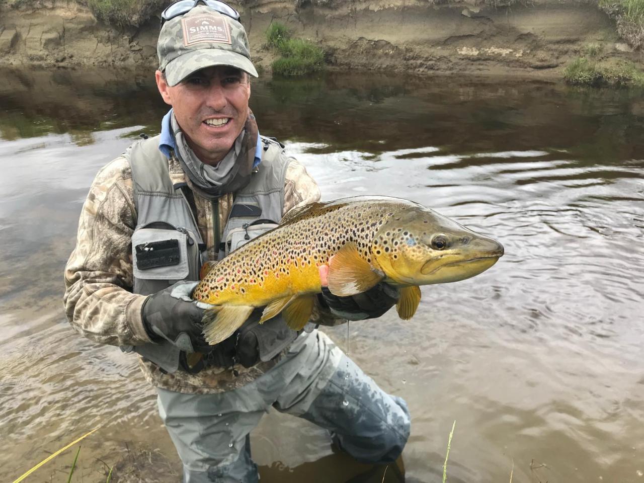 Trout 'N' Trail B&B Ranfurly Buitenkant foto